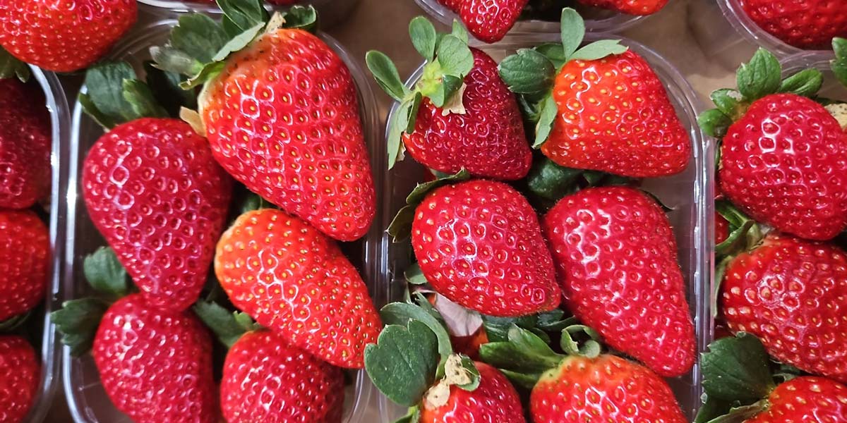 La Borsa della Spesa, in calo del 15% i prezzi delle fragole